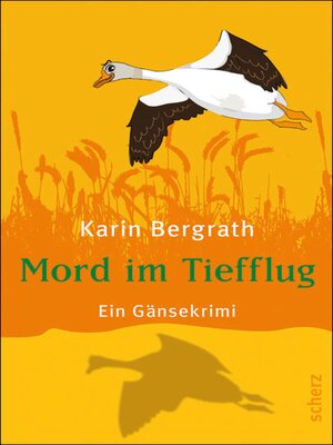 cover image of Mord im Tiefflug